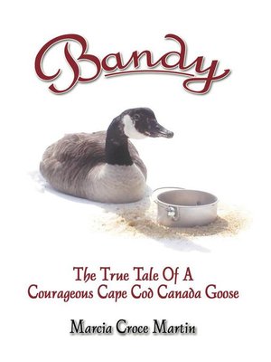 cover image of Bandy
